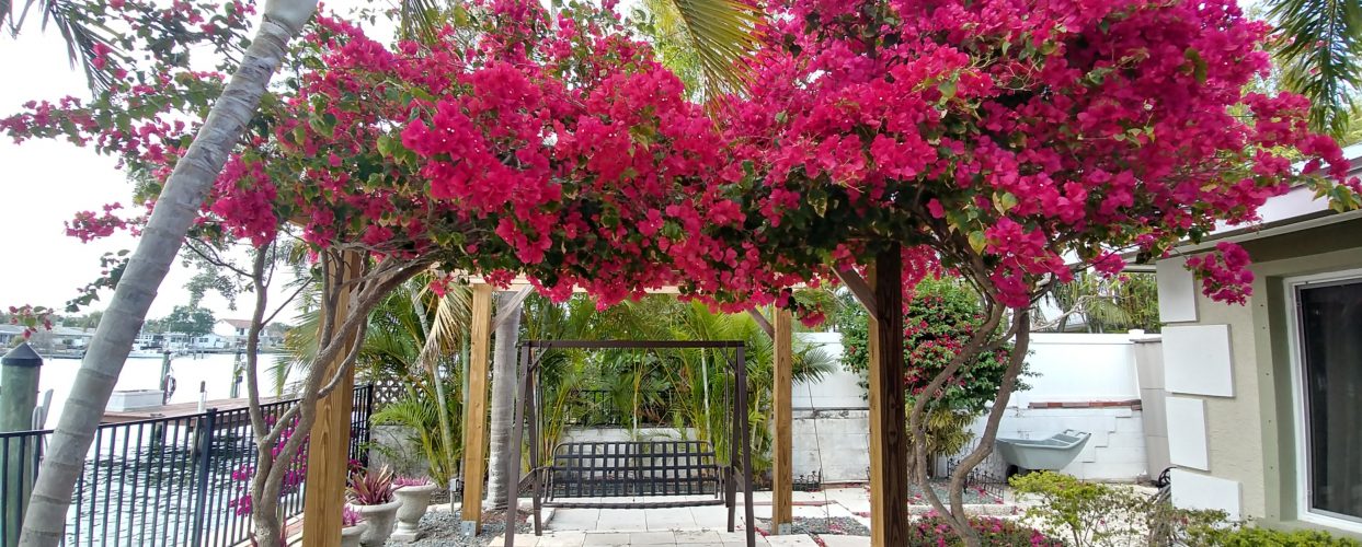 Exterior garden with seating