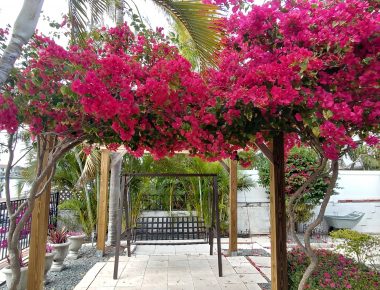 Exterior garden with seating